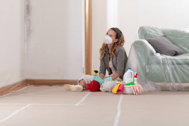 Reliable Mold Remediation contractor in Warren, IL by WQB Mold Removal